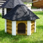 dog-house
